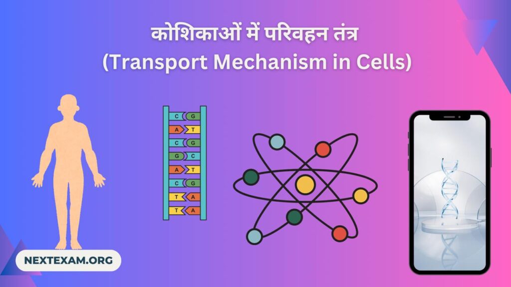 Transport Mechanism in Cells (कोशिकाओं में परिवहन तंत्र) 