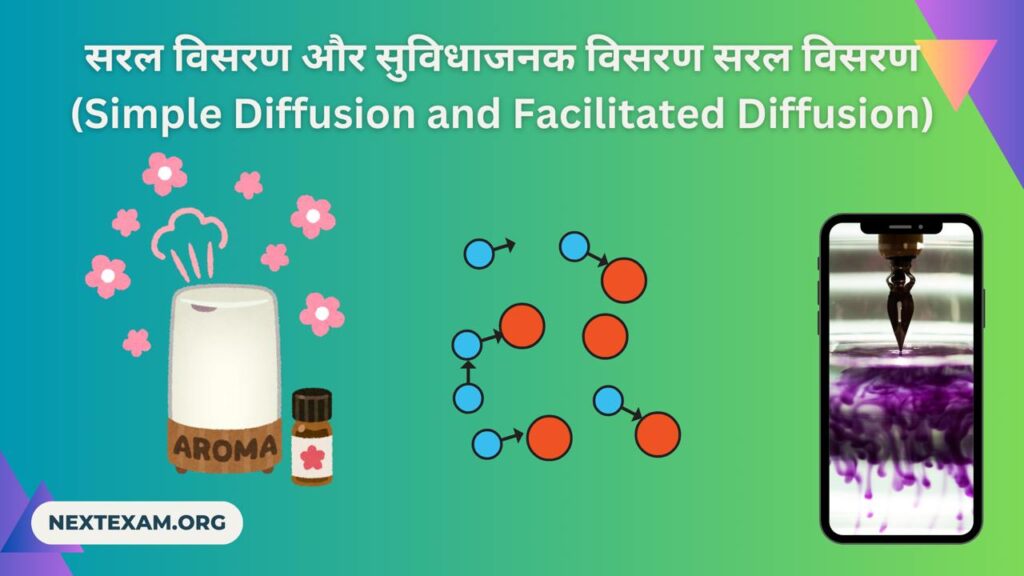 सरल विसरण और सुविधाजनक विसरण सरल विसरण (Simple Diffusion and Facilitated Diffusion)