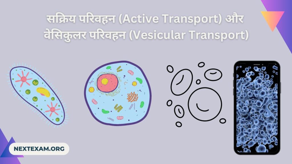 Active Transport and Vesicular Transport | NExt Exam Notes in Hindi