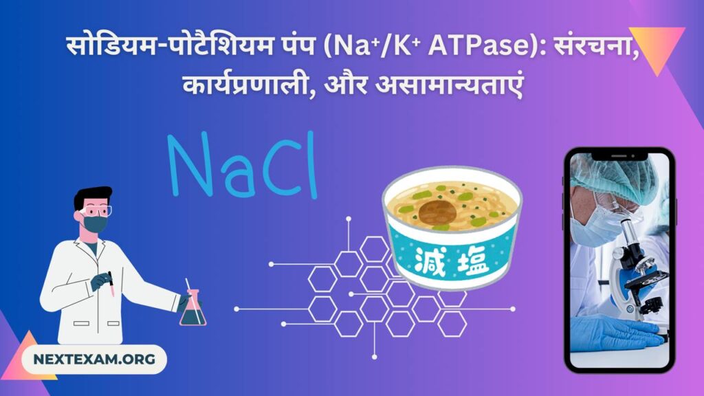 Na⁺/K⁺ ATPase (सोडियम-पोटैशियम पंप)| Next Exam Notes in Hindi