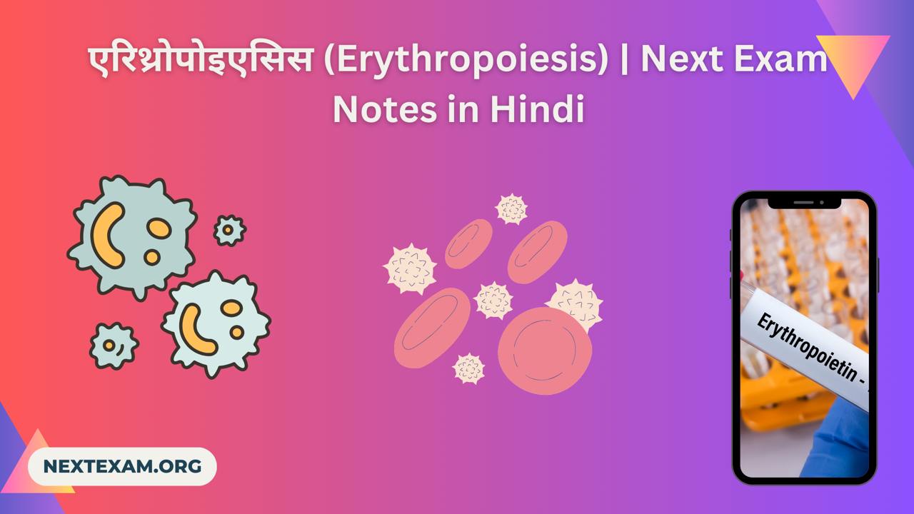 एरिथ्रोपोइएसिस (Erythropoiesis)