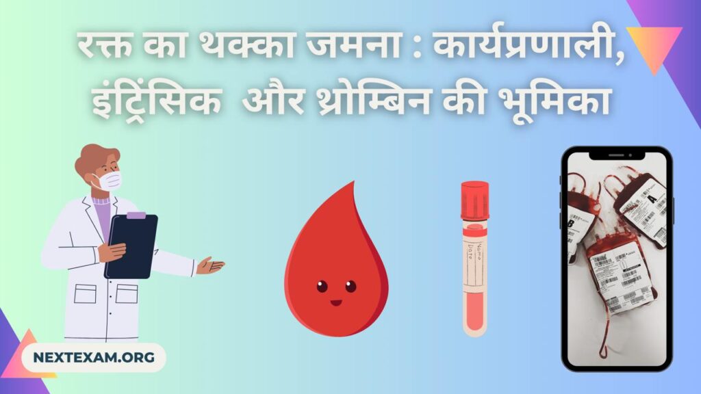 रक्त का थक्का जमना (Blood Coagulation)