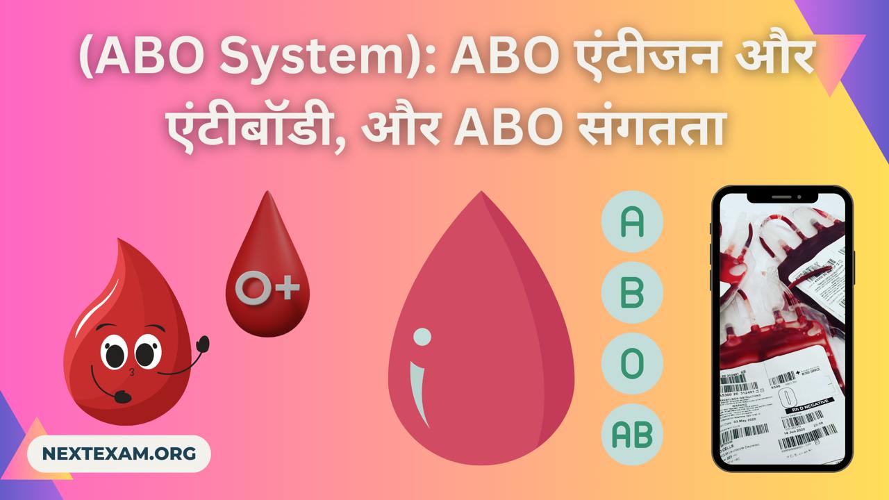 ABO प्रणाली (ABO System)