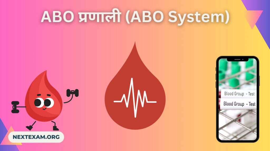 ABO प्रणाली (ABO System)