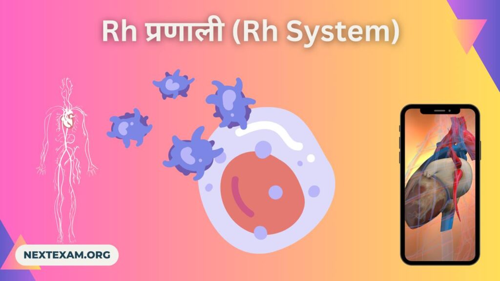 Rh प्रणाली (Rh System)